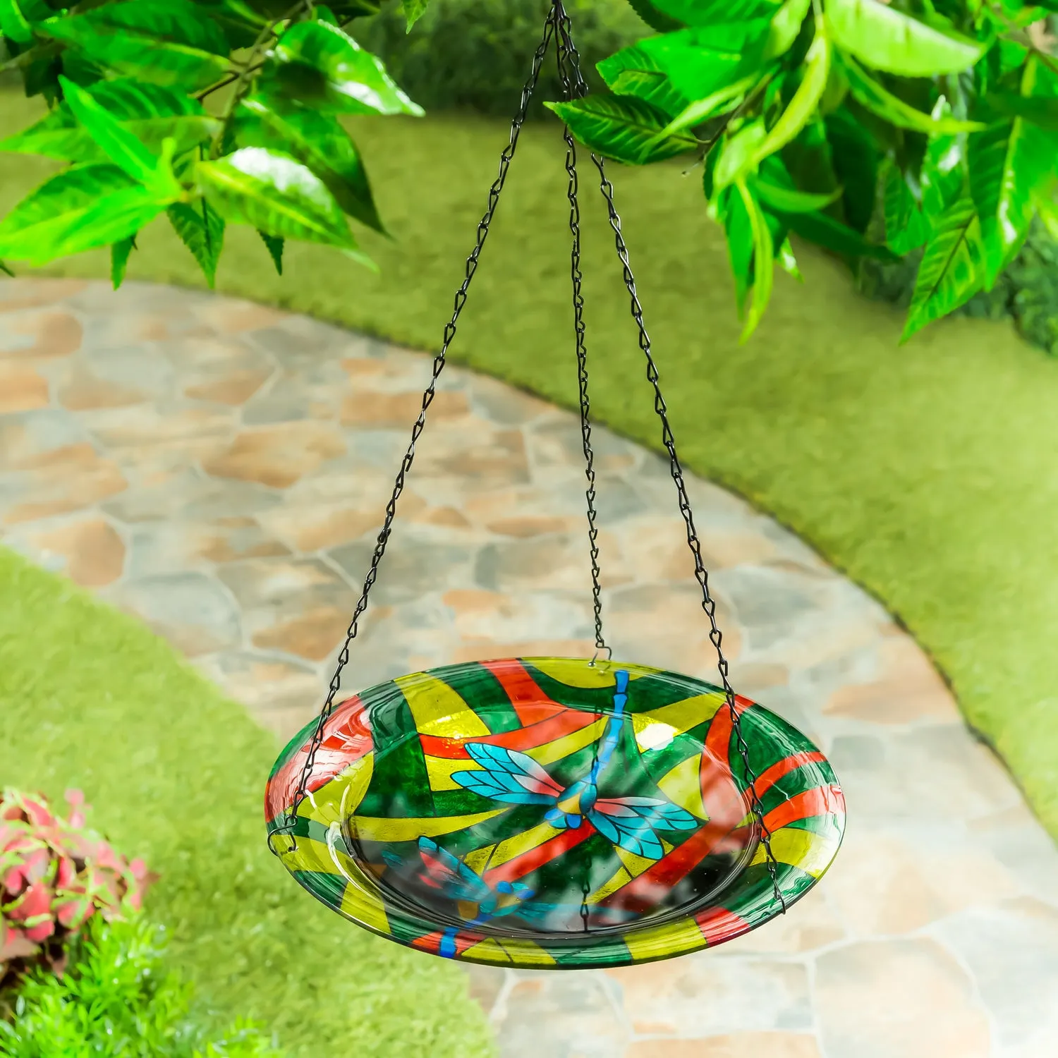 14" Glass Hanging Birdbath, Dragonflies,2gb7008