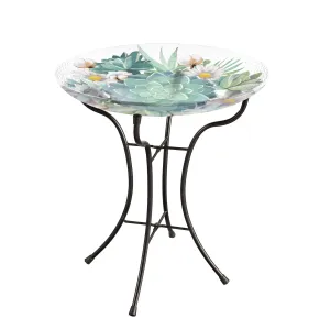 16" Glass Bird Bath w/Stand, Harvest Succulents,2gb1210