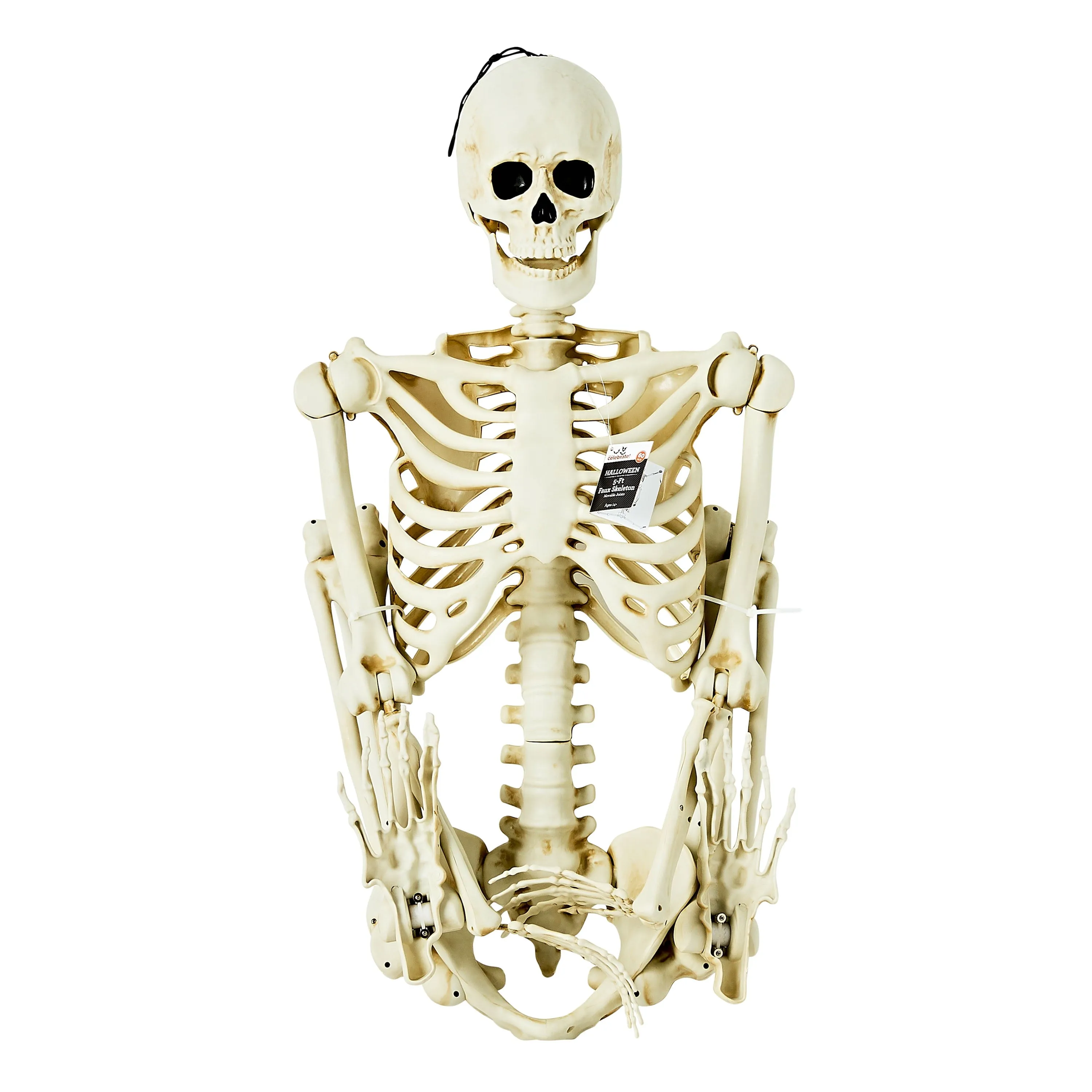 5 Ft Ultra Poseable Skeleton Indoor Outdoor Halloween Decoration Yard Prop New