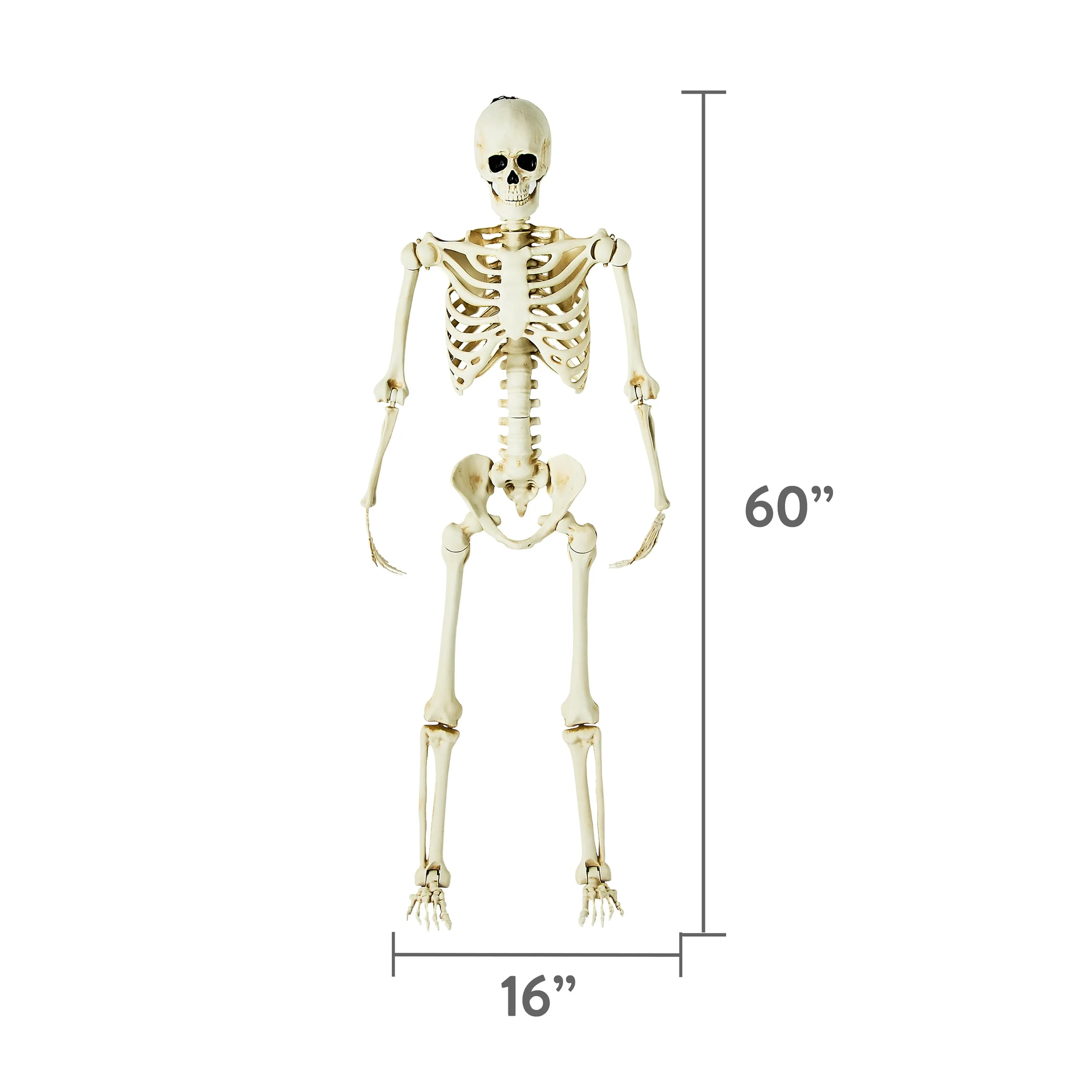 5 Ft Ultra Poseable Skeleton Indoor Outdoor Halloween Decoration Yard Prop New