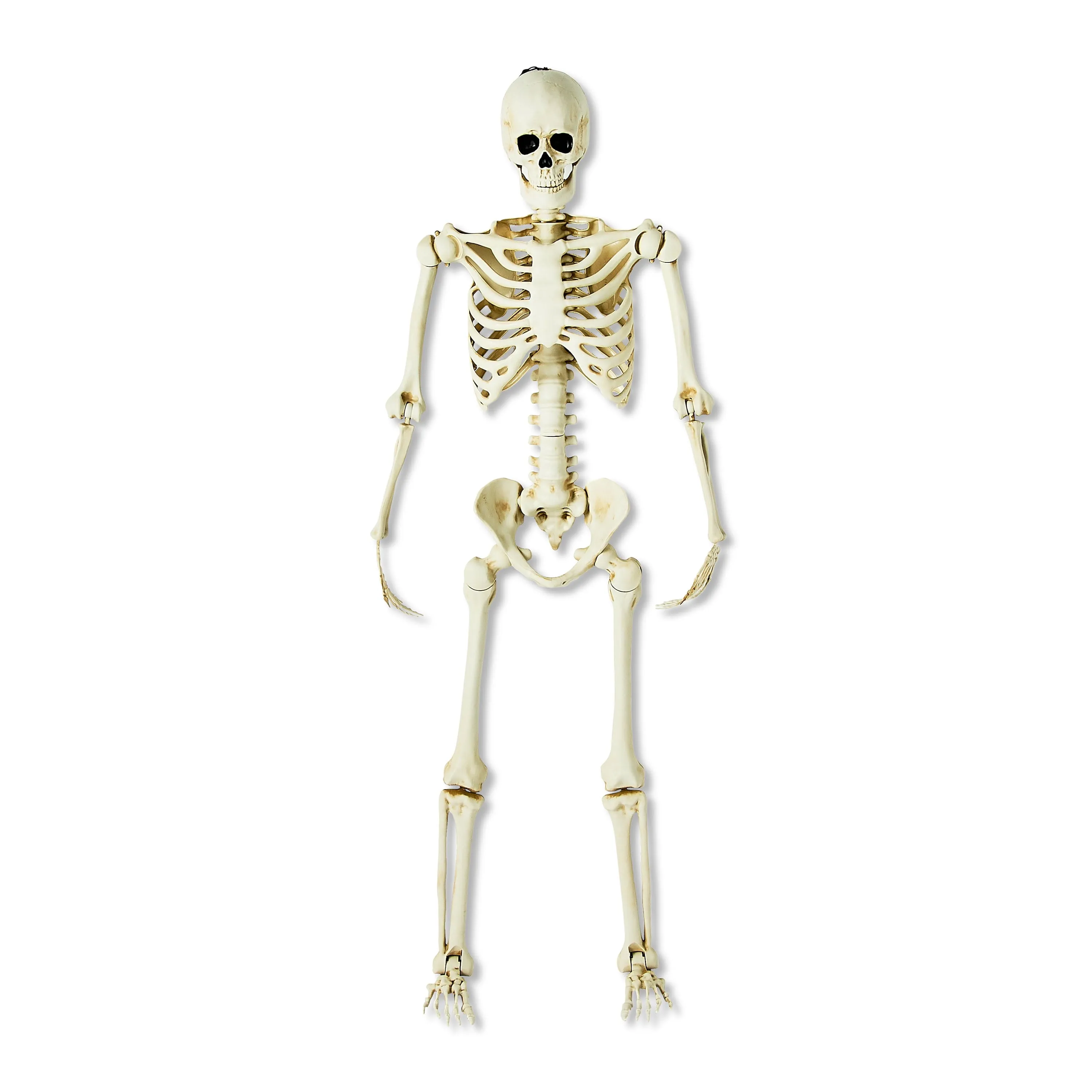 5 Ft Ultra Poseable Skeleton Indoor Outdoor Halloween Decoration Yard Prop New