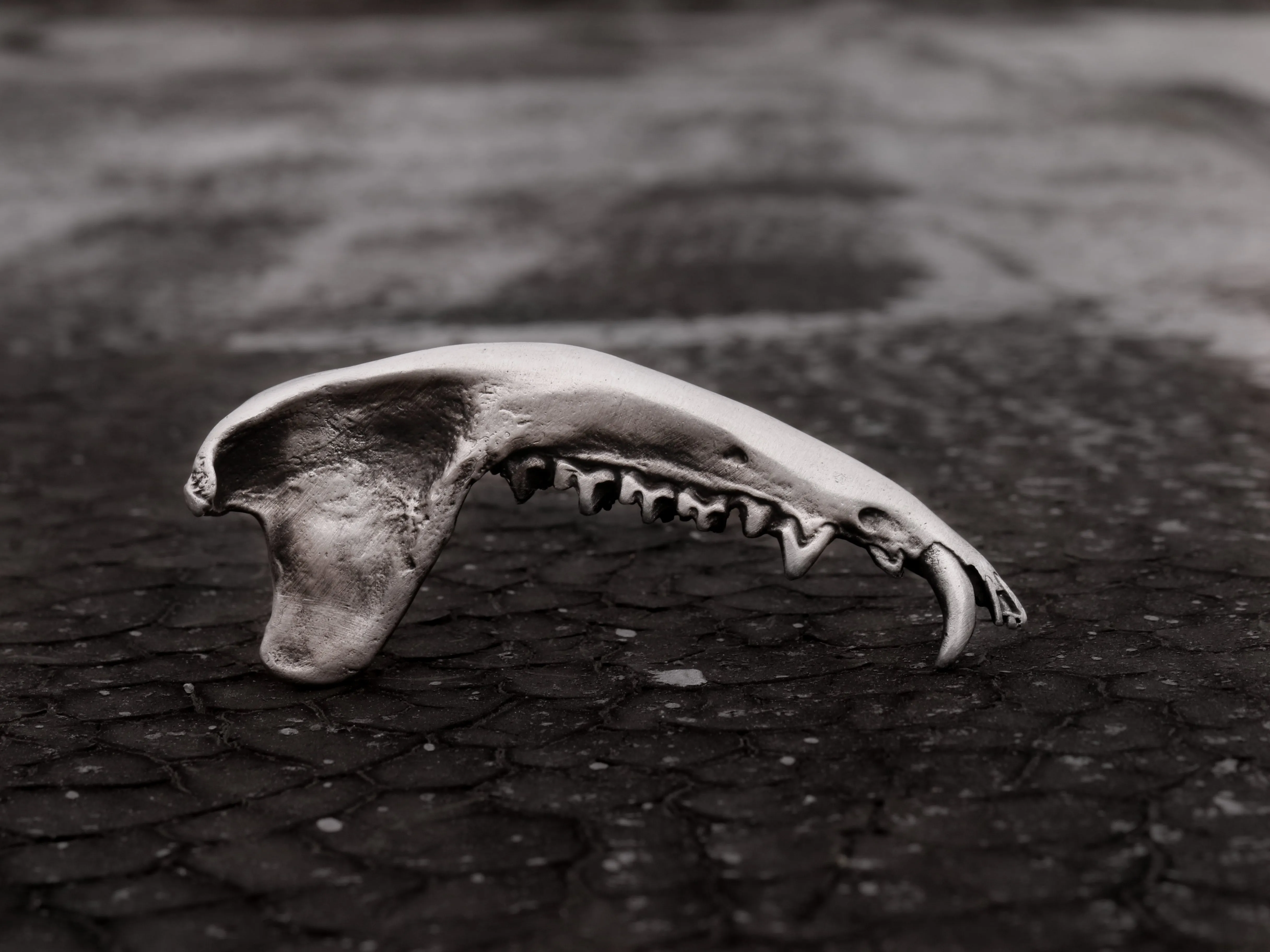 Gaag Jaw Bone Ring