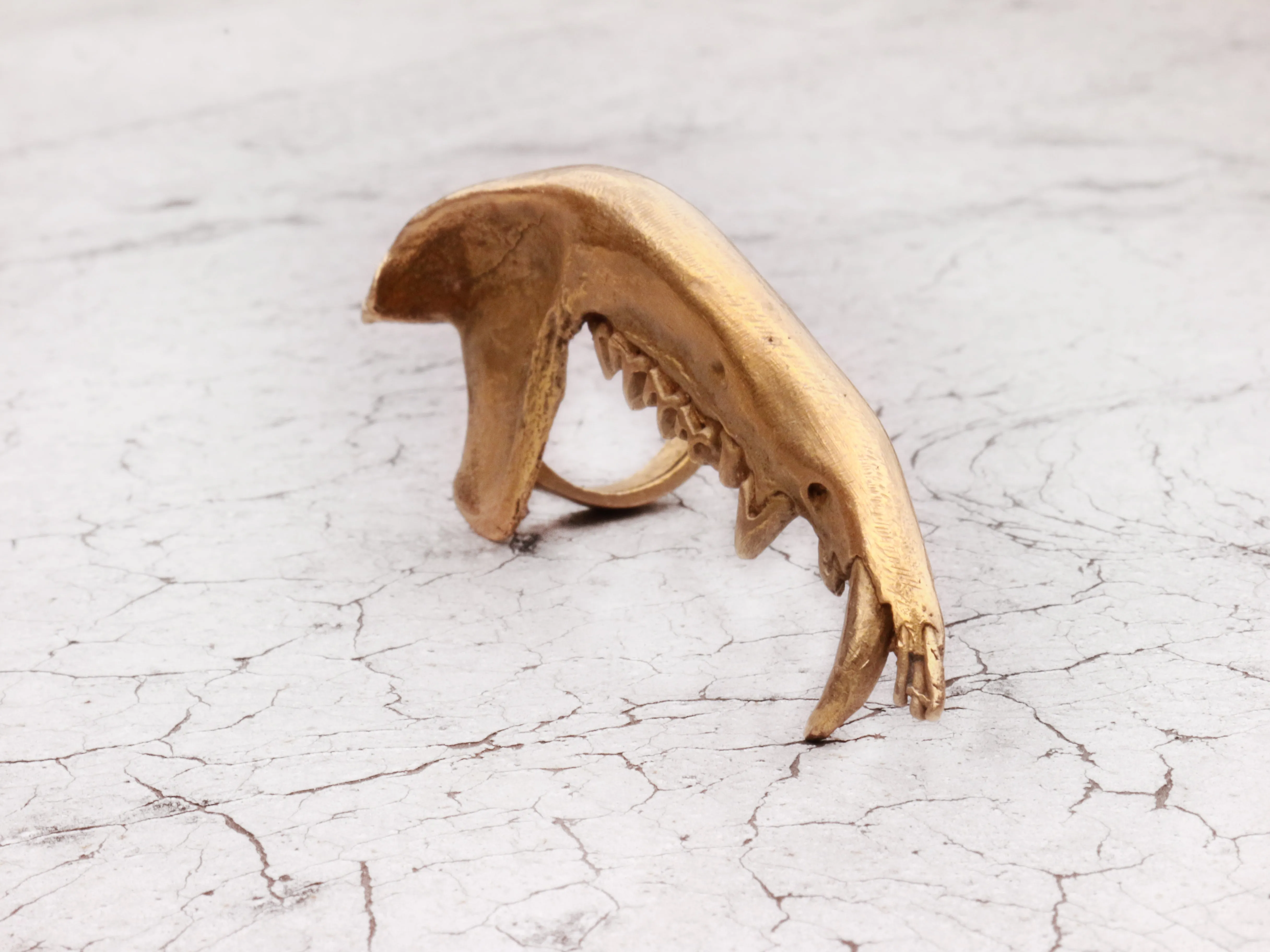 Gaag Jaw Bone Ring
