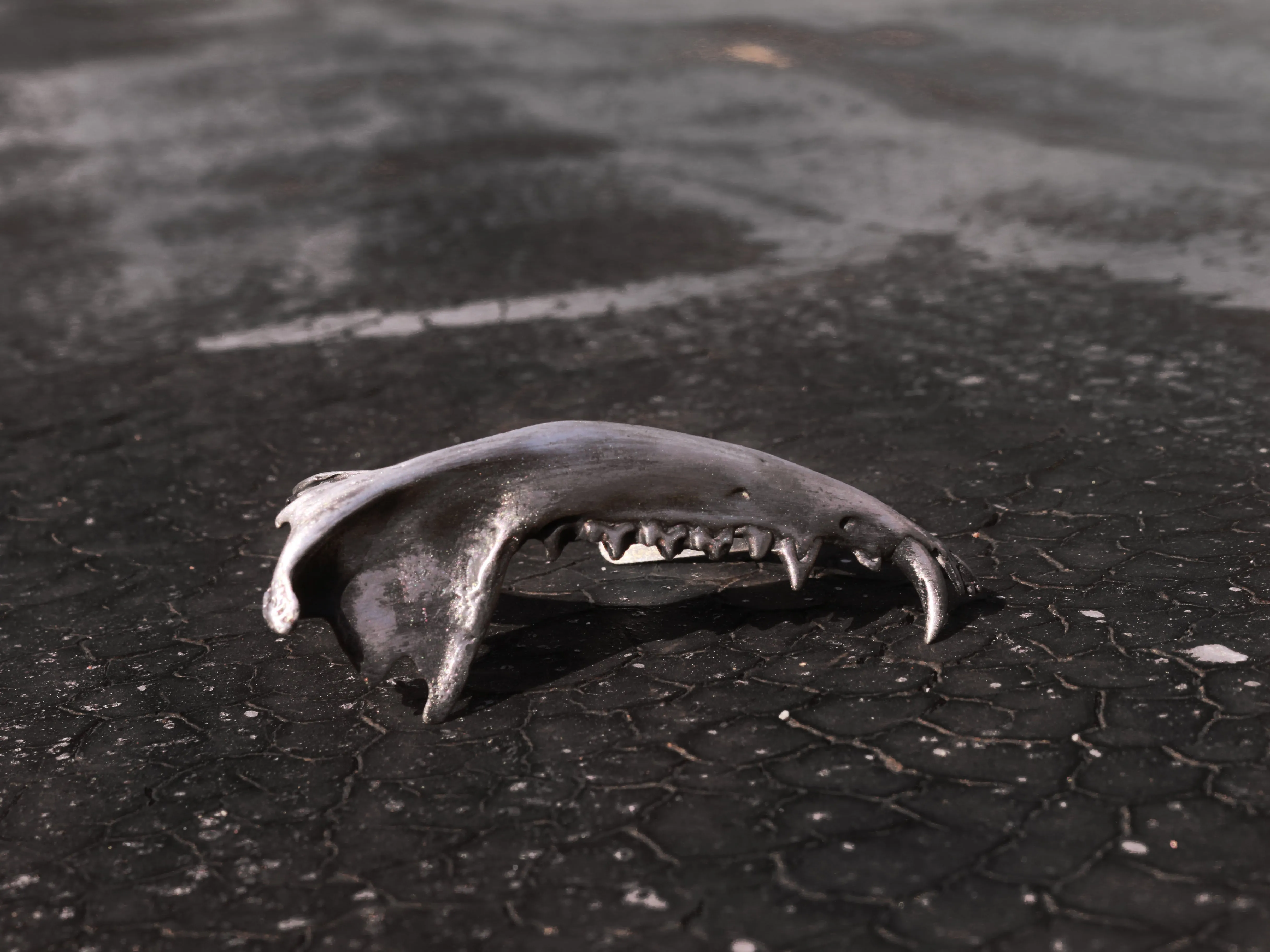 Gaag Jaw Bone Ring