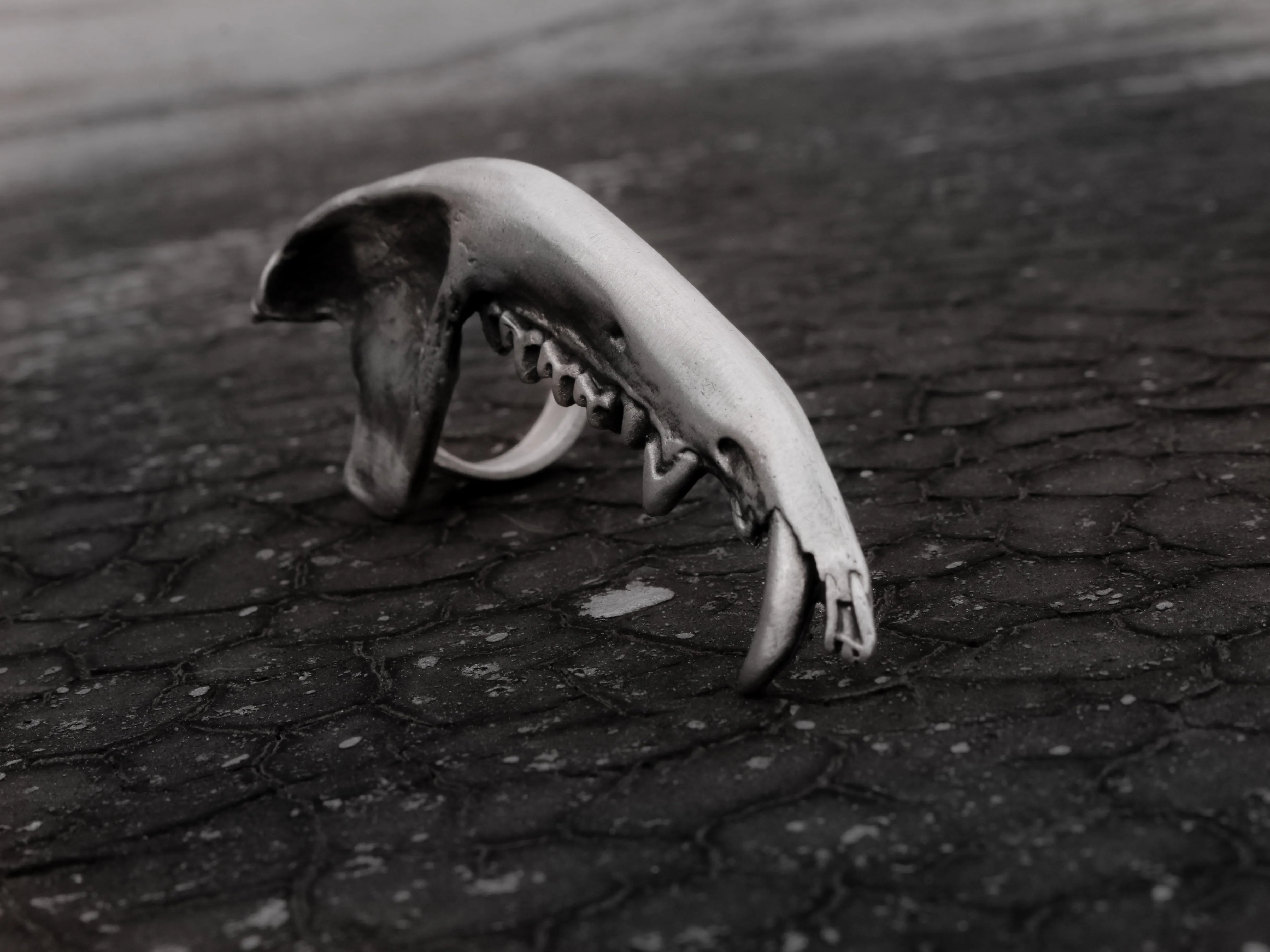 Gaag Jaw Bone Ring