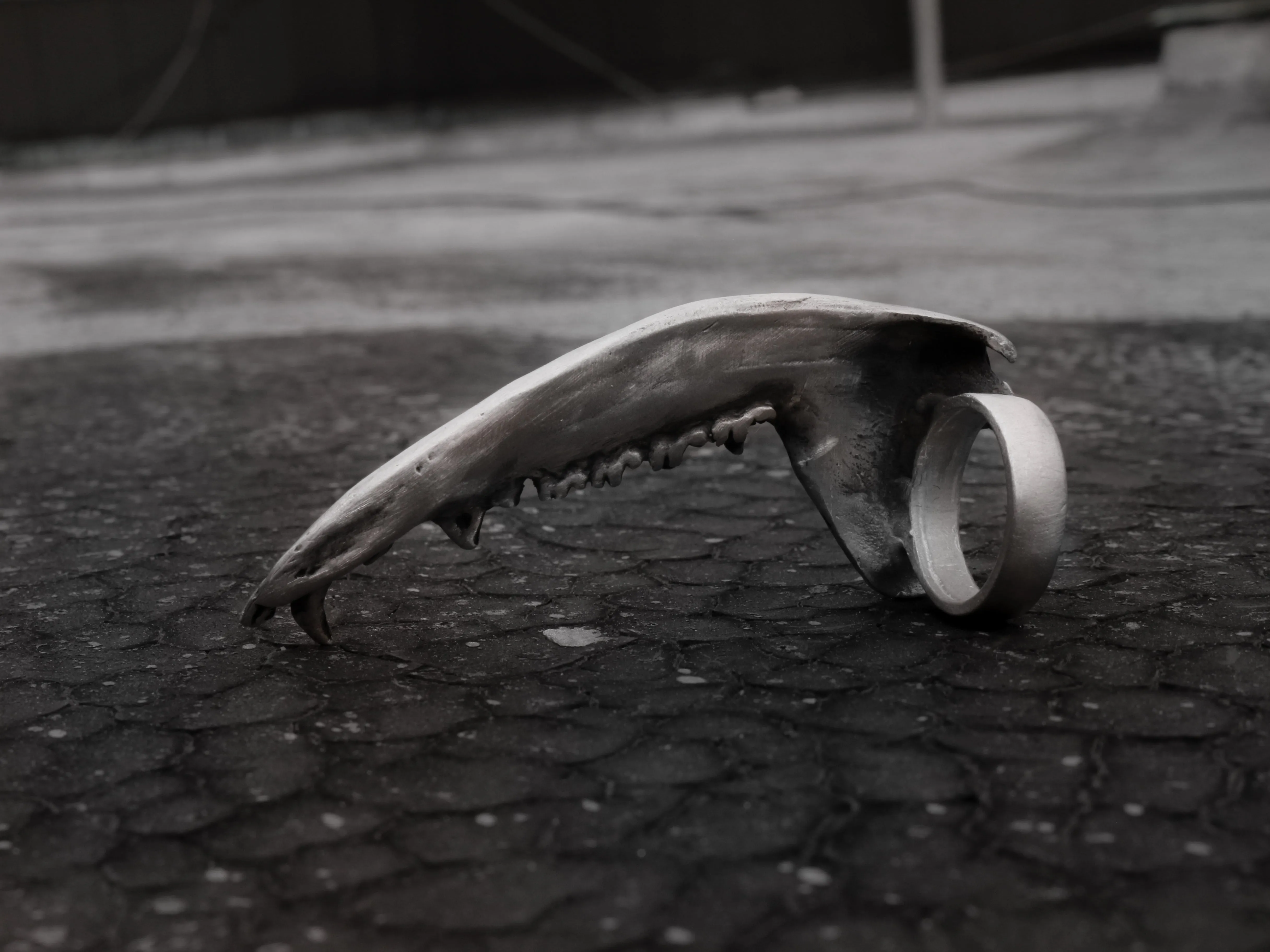 Gaag Jaw Bone Ring