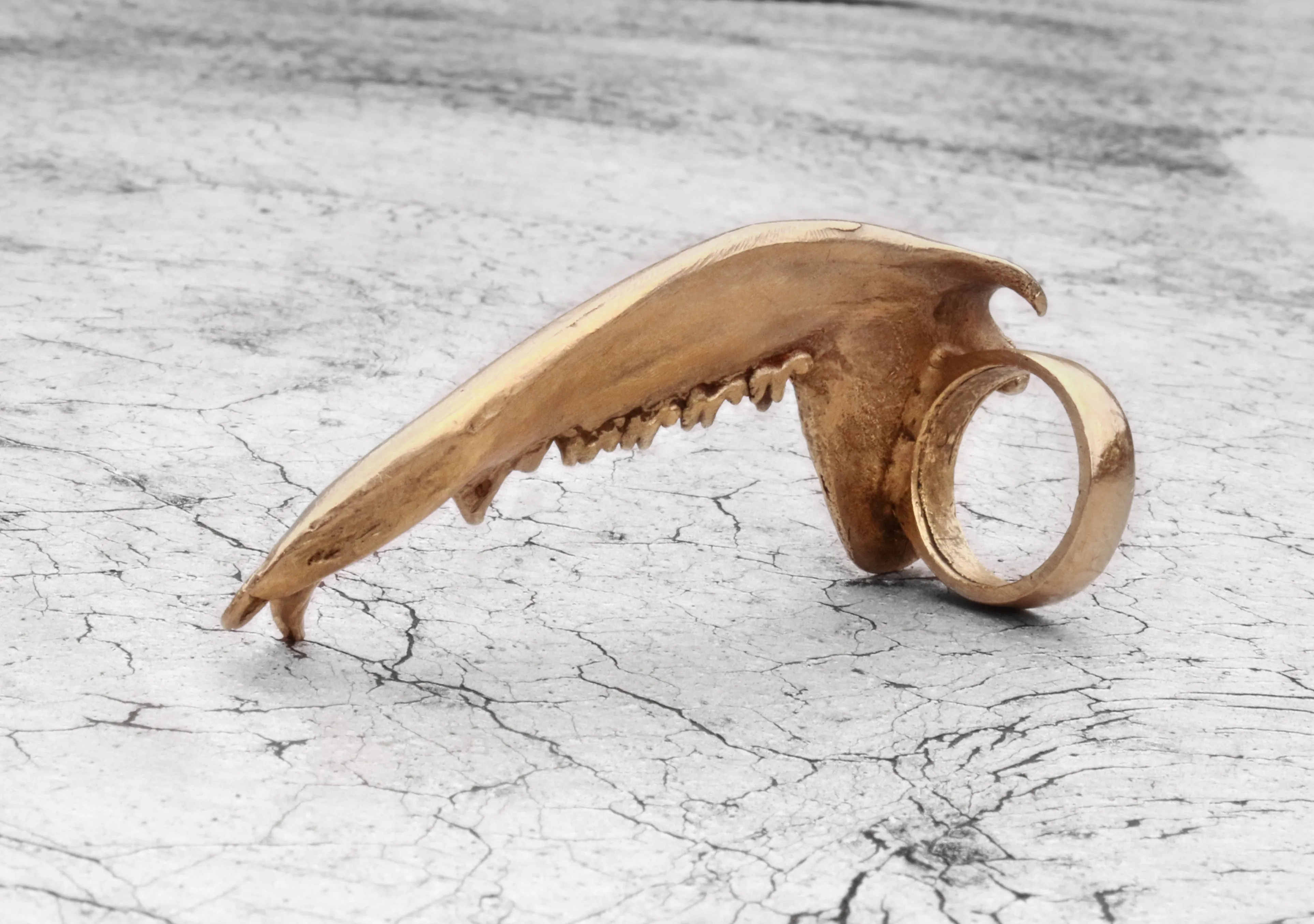 Gaag Jaw Bone Ring