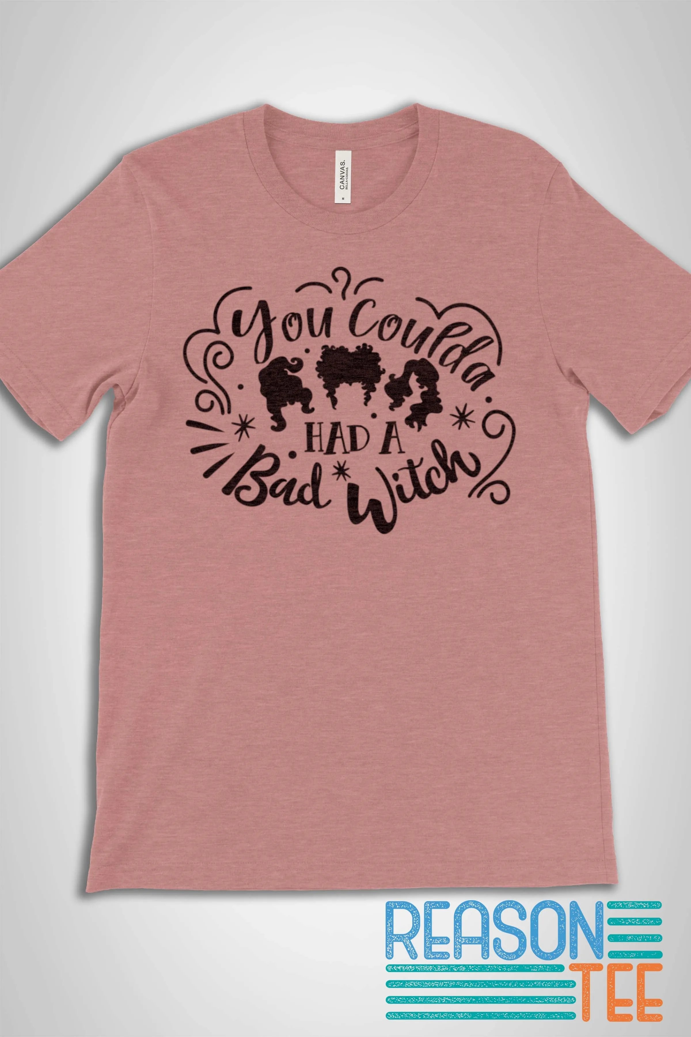 Hocus Pocus You Coulda Had A Bad Witch T-shirt