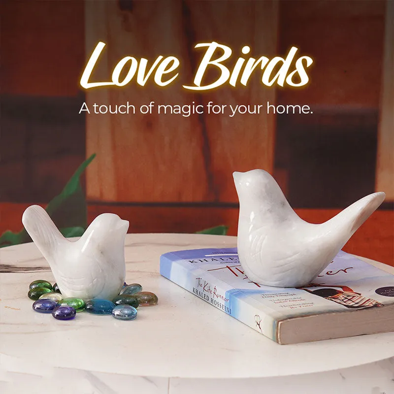 Marble Love Birds Centerpiece Statue For Living Room & Garden Décor