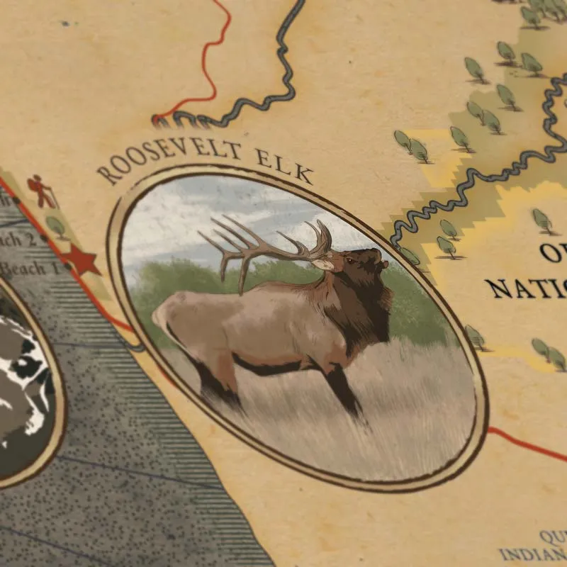 Olympic National Park Map