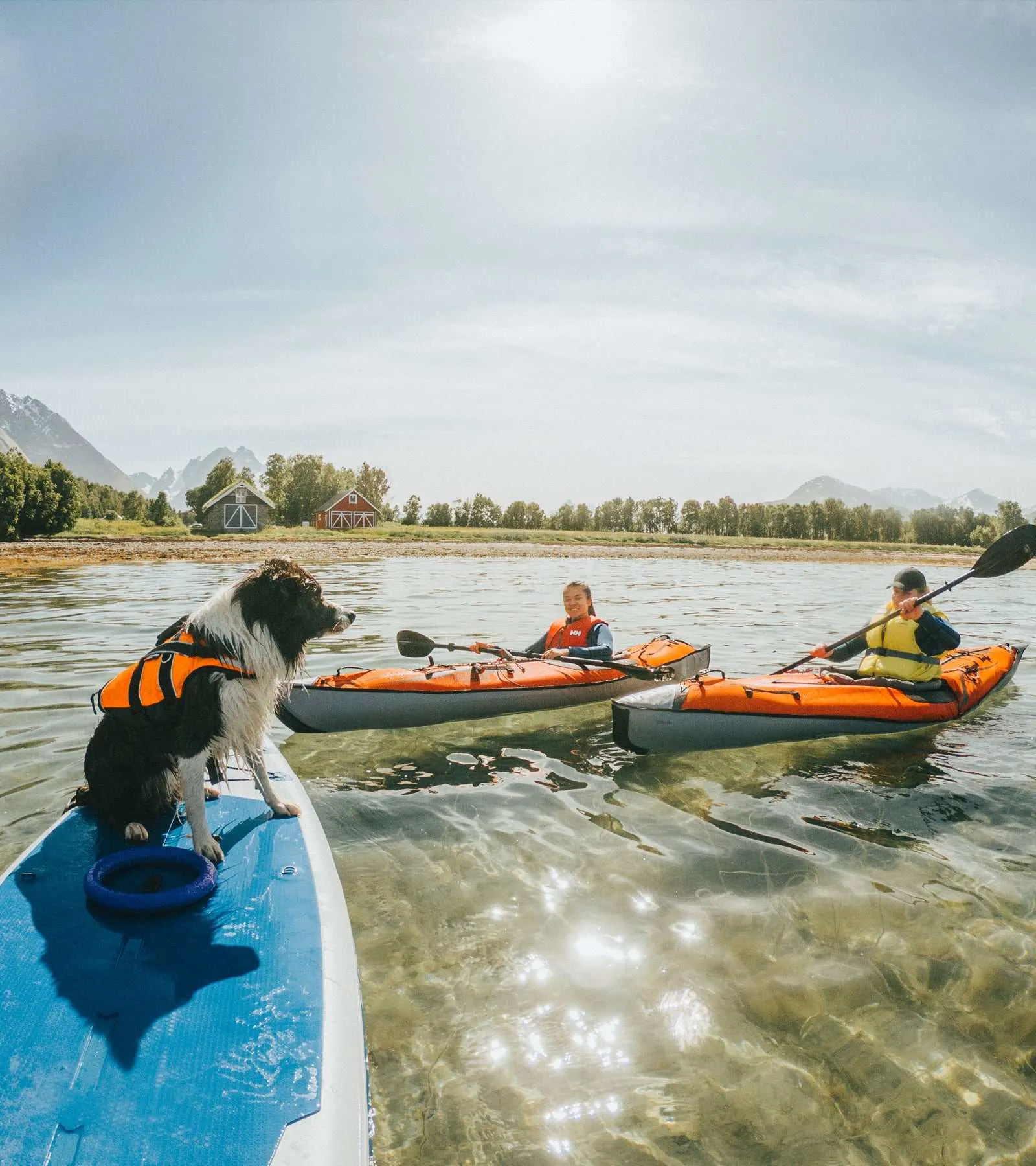 Safe Life Jacket 2.0
