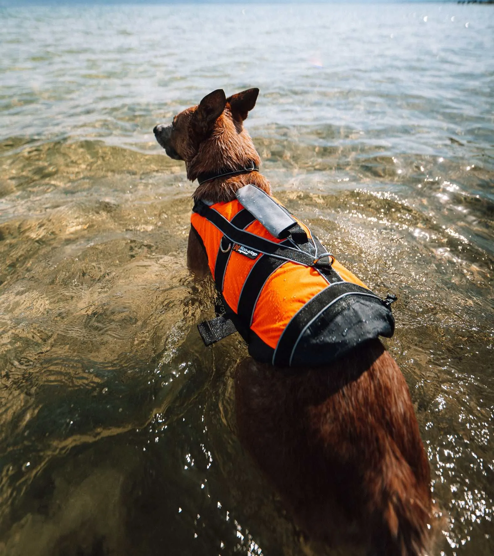 Safe Life Jacket 2.0