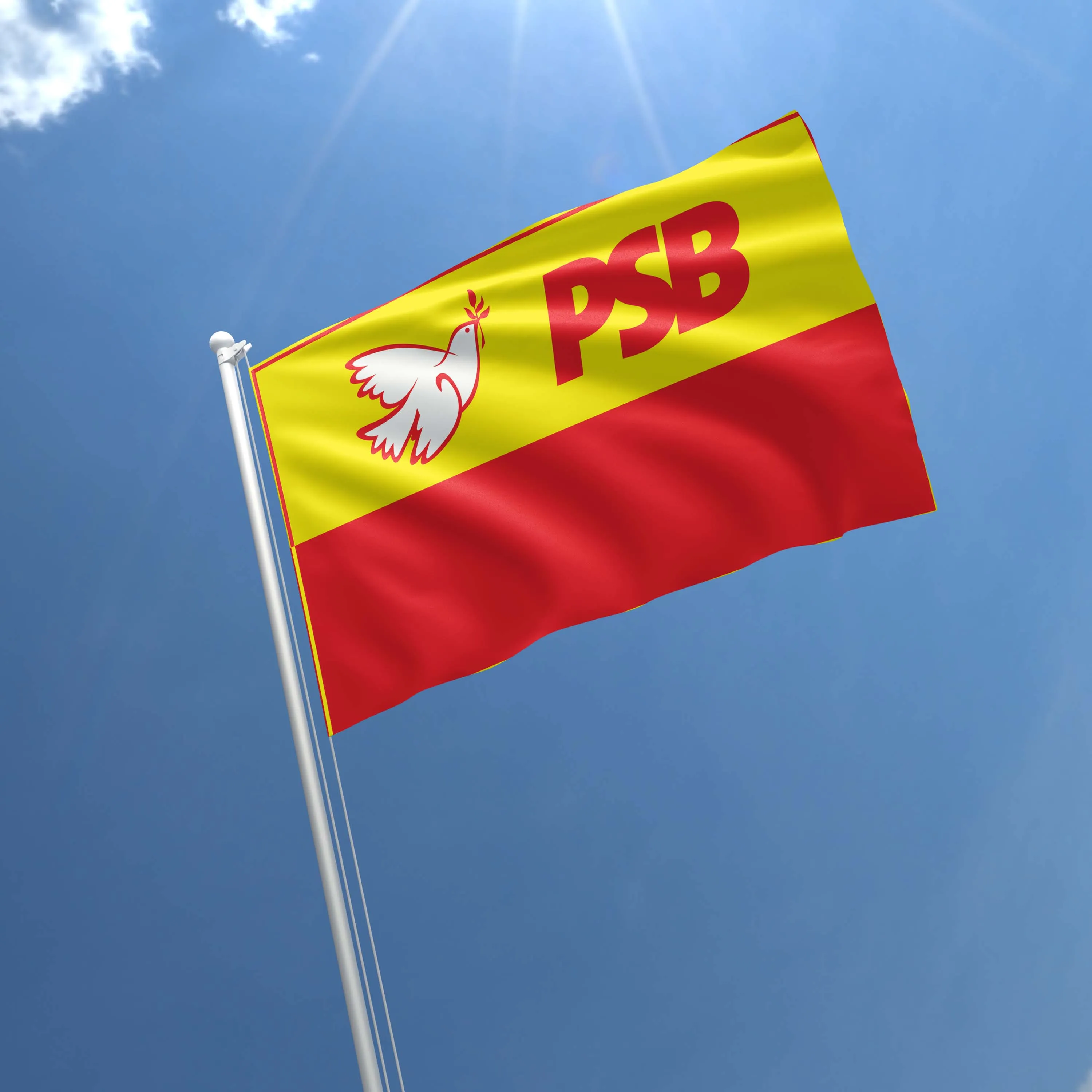 Socialist Parties of Brazil Flag Banner
