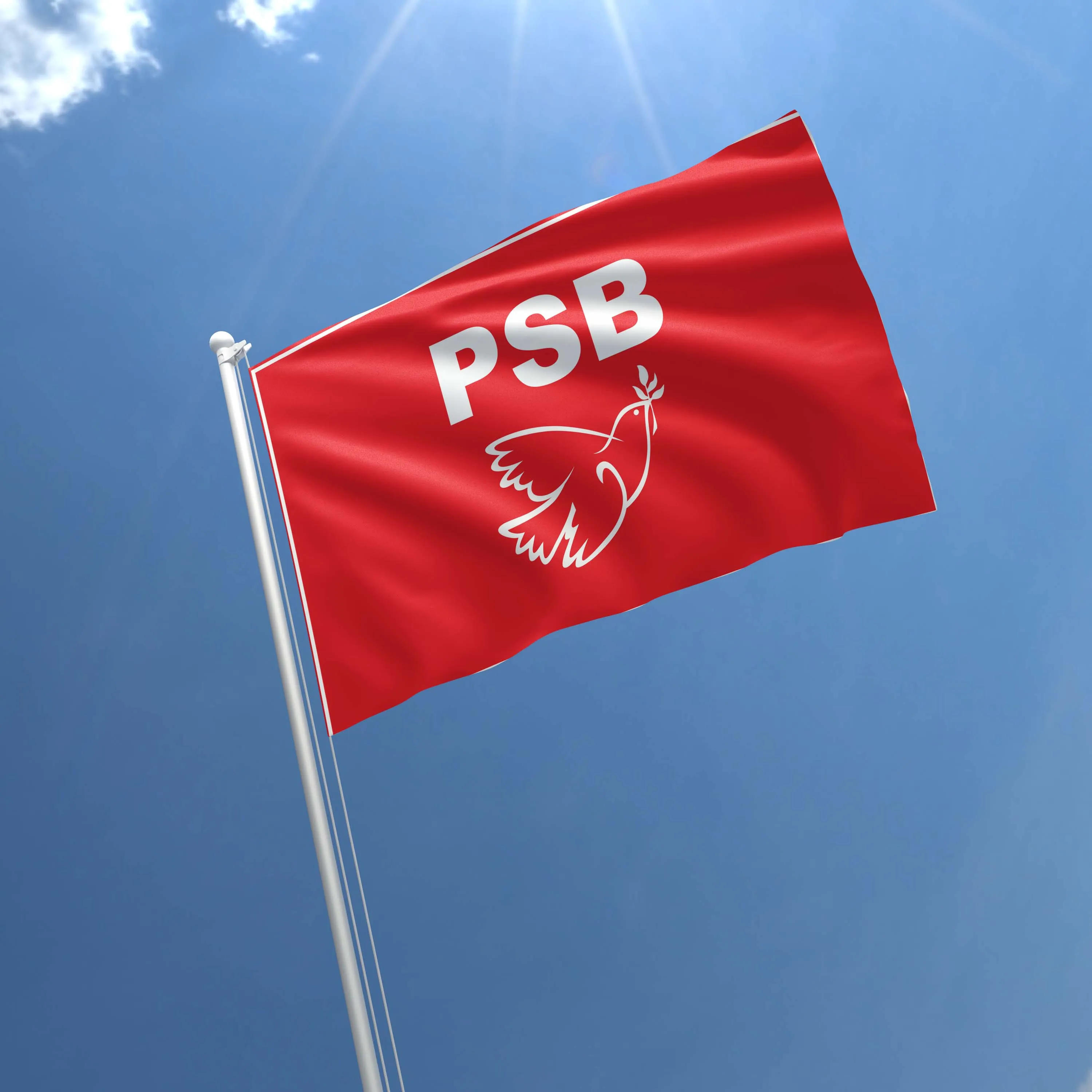 Socialist Parties of Brazil Flag Banner