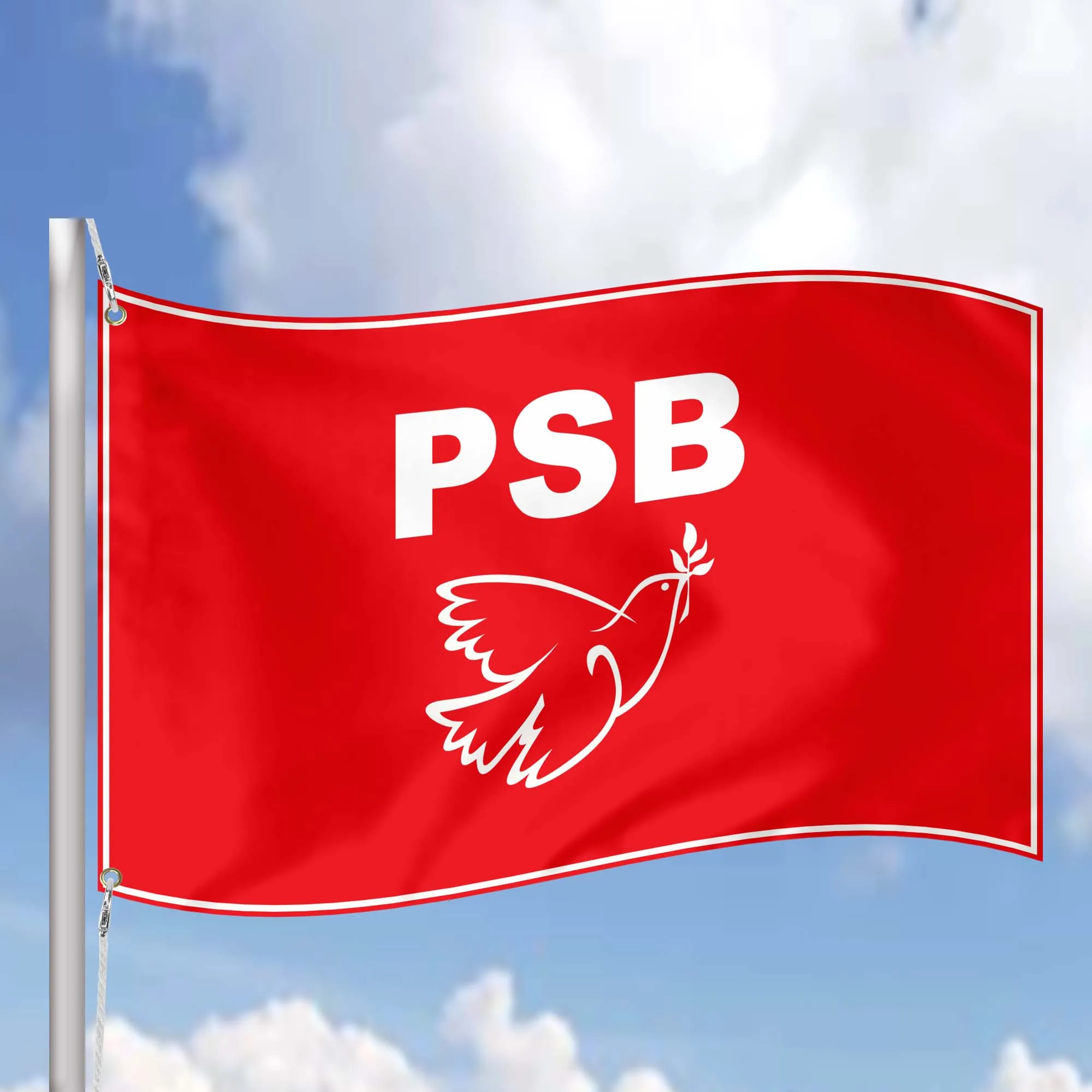 Socialist Parties of Brazil Flag Banner