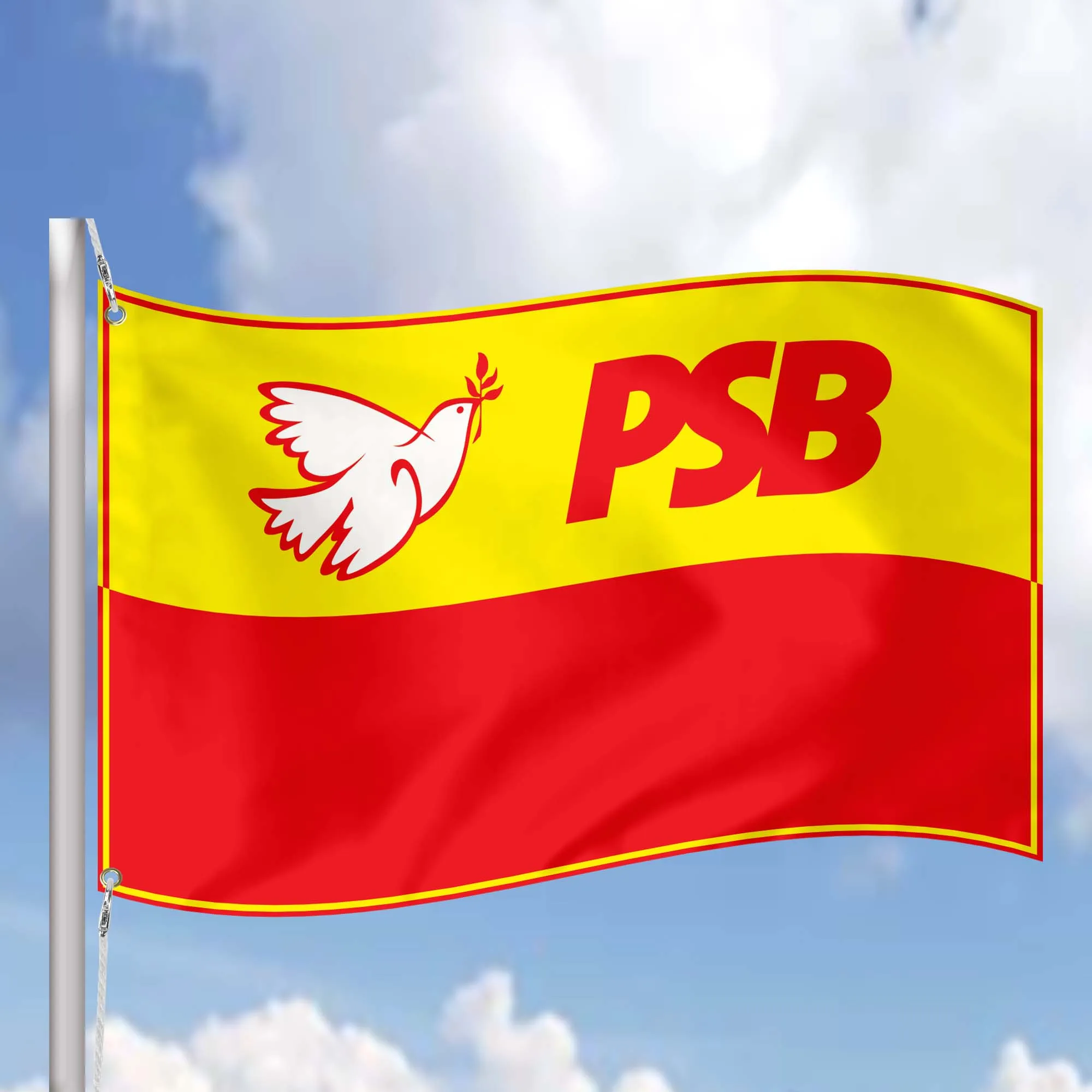 Socialist Parties of Brazil Flag Banner