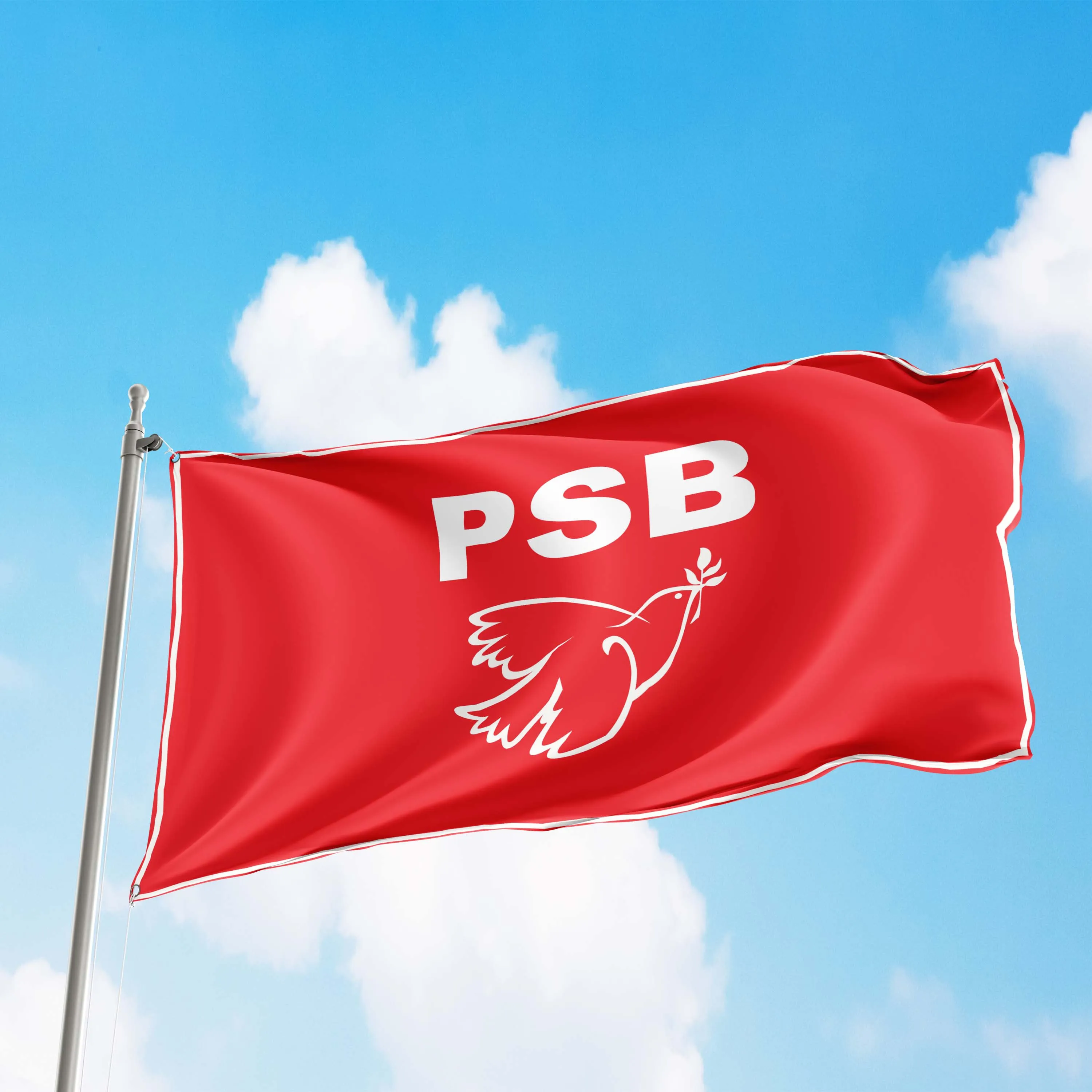 Socialist Parties of Brazil Flag Banner