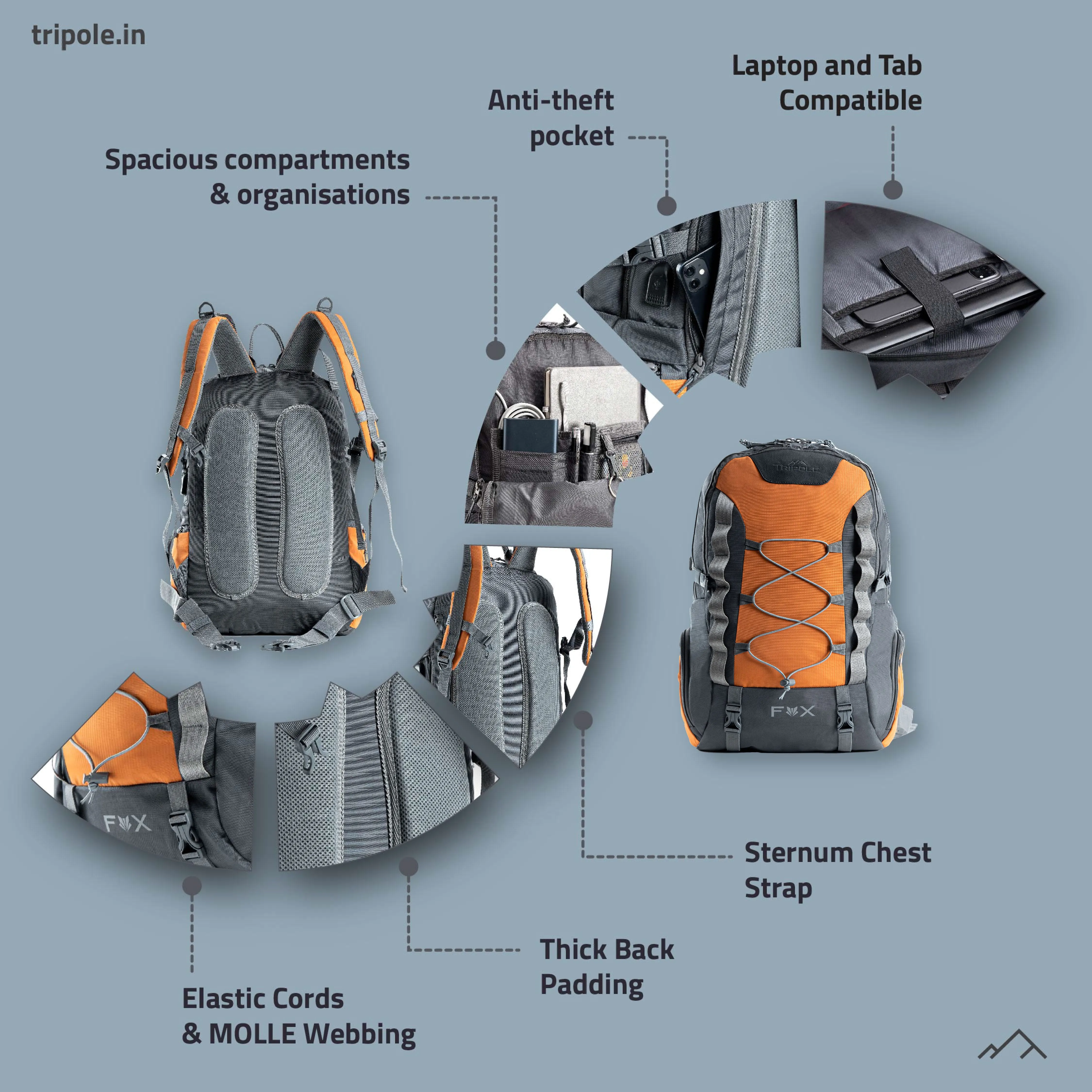 Tripole  Fox Internal Frame Laptop Backpack | 3 Year Warranty