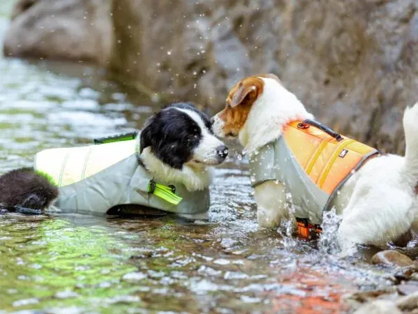 TrueLove Life Vest TLY1951 Orange