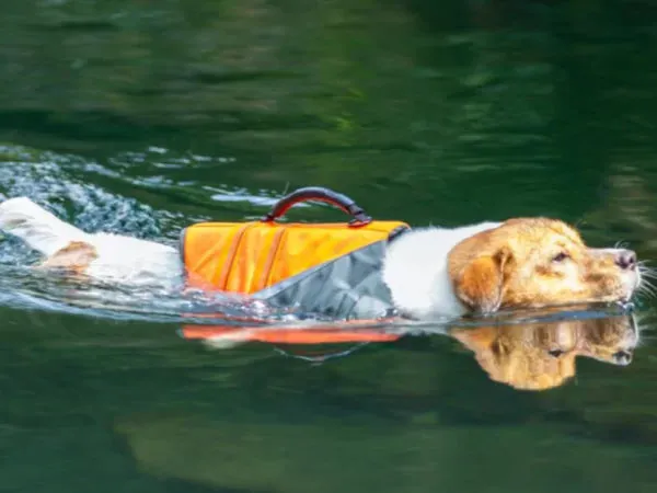 TrueLove Life Vest TLY1951 Orange