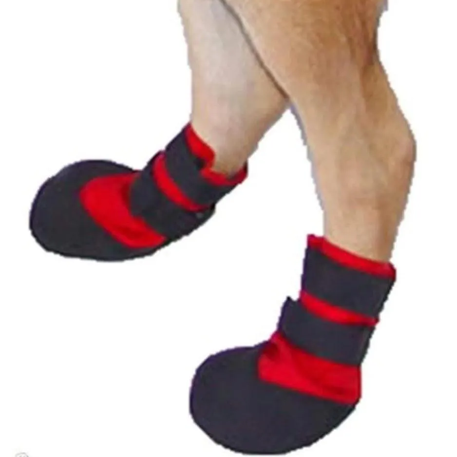 Walkin’ Wheels - Traction Dog Socks Set